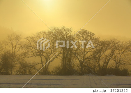 冬の北上川 冬の北上川 37201225