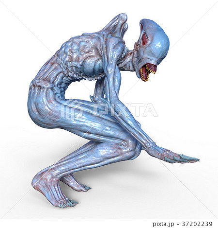 モンスター 37202239