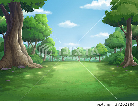 Background For Jungle And Natural At Daytime のイラスト素材