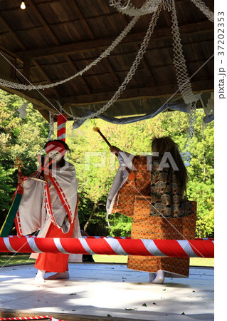 出雲大社より 37202353