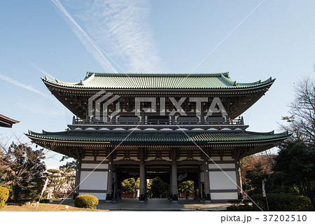 曹洞宗總持寺(そうじじ) 神奈川県横浜市鶴見区 曹洞宗總持寺(そうじじ) 神奈川県横浜市鶴見区 37202510