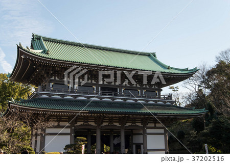 曹洞宗總持寺(そうじじ) 神奈川県横浜市鶴見区 曹洞宗總持寺(そうじじ) 神奈川県横浜市鶴見区 37202516