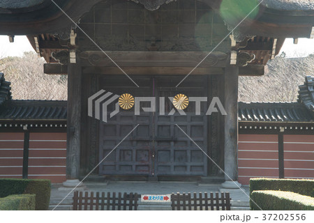 曹洞宗總持寺（そうじじ）　神奈川県横浜市鶴見区 37202556