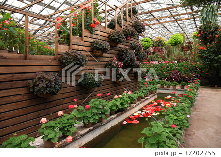 松江 フォーゲルパークより 松江 フォーゲルパークより 37202755