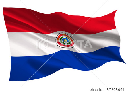 パラグアイ 国旗 旗 アイコン のイラスト素材