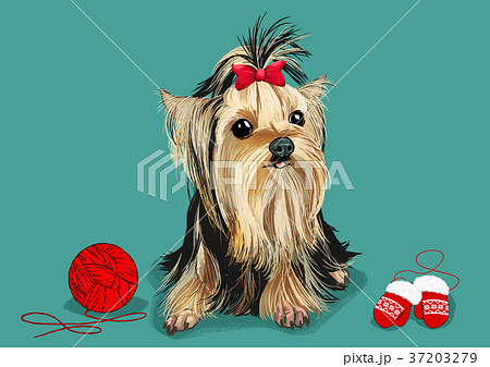 Illustration Of Pet Cute Bulldog Chihuahua のイラスト素材