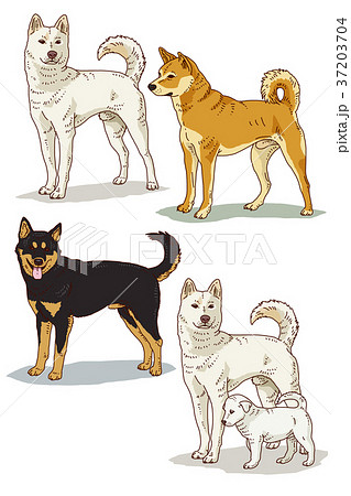 Animals 006 37203704