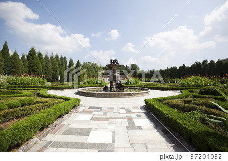 RF photo - Natural scenery. country side in season of Autumn, gardening, flowers, blue sky 165 37204032