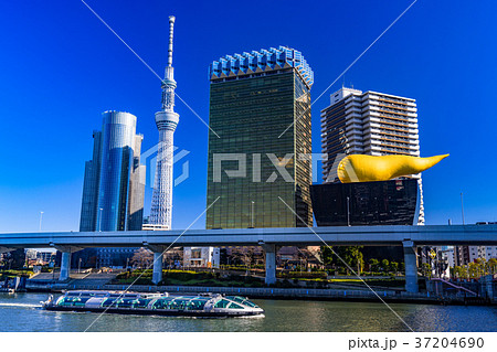 《東京都》浅草から眺めるスカイツリー 37204690