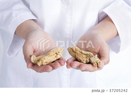 Dry medicinal plants 086 Dry medicinal plants 086 37205242