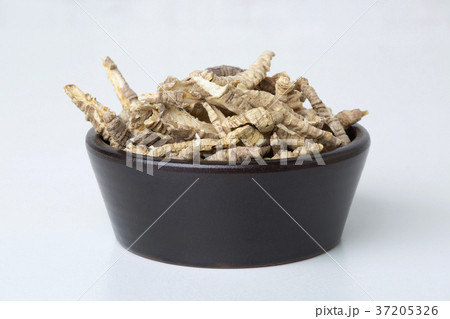 Dry medicinal plants 048 Dry medicinal plants 048 37205326