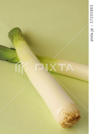 リーキネギ 37205865