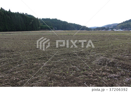 田舎の田 田舎の田 37206392