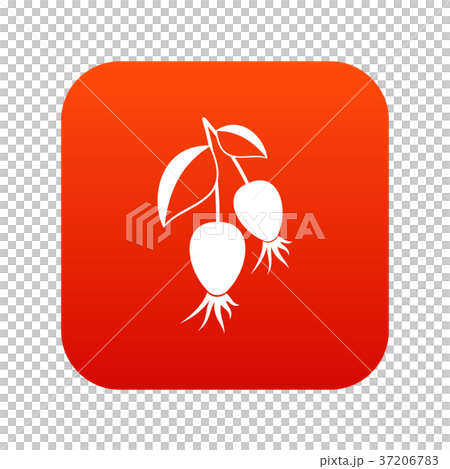 Dogrose berries branch icon digital red 37206783