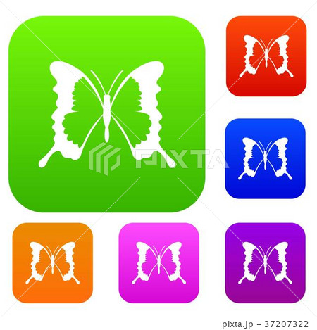Swallowtail butterfly set collection Swallowtail butterfly set collection 37207322