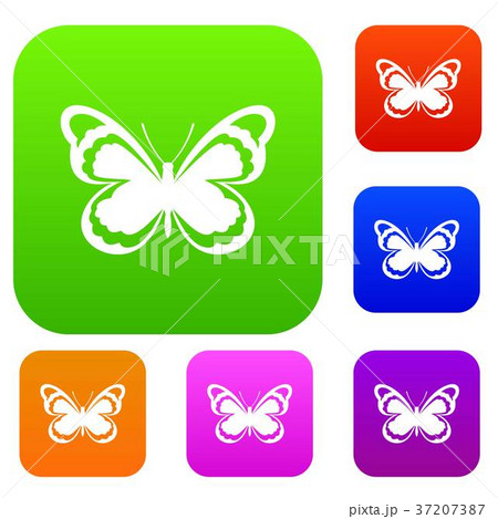 Small butterfly set collection Small butterfly set collection 37207387