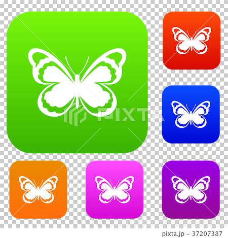 Small butterfly set collection Small butterfly set collection 37207387