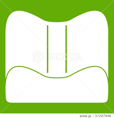 Orthopedic pillow icon green 37207946