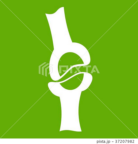 Knee joint icon green Knee joint icon green 37207982