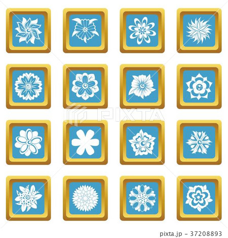 Different flowers icons azure 37208893