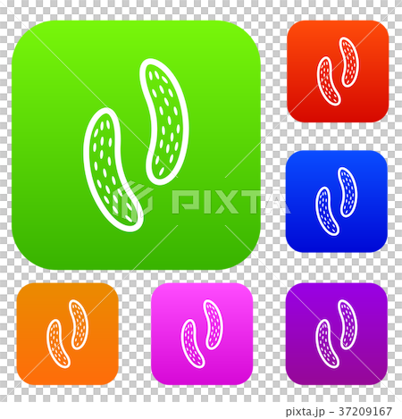 Epithelial cell set collection 37209167