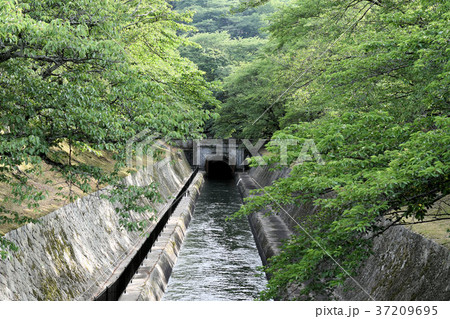 琵琶湖疏水 第1疏水第1トンネル東口 琵琶湖疏水 第1疏水第1トンネル東口 37209695