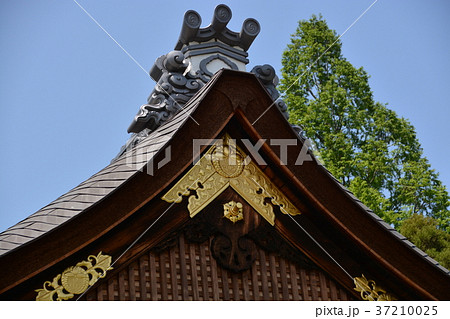 立木神社 立木神社 37210025