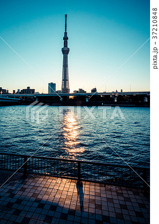 東京スカイツリーから昇る朝日の写真素材