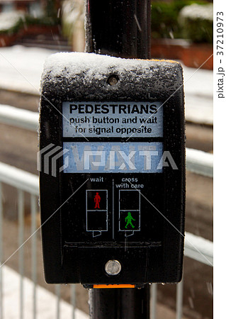 イギリス-歩行者用信号- 37210973