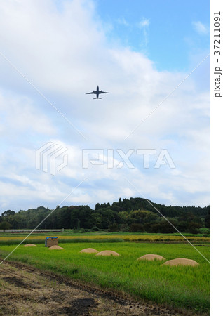 千葉県成田市田園風景　飛行機　麦畑　籾殻 37211091