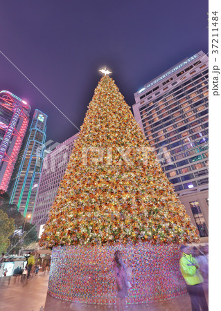 the larget xmas tree at night before xmas 37211484