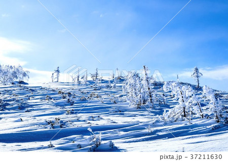冬の美幌峠　美幌町方面 37211630