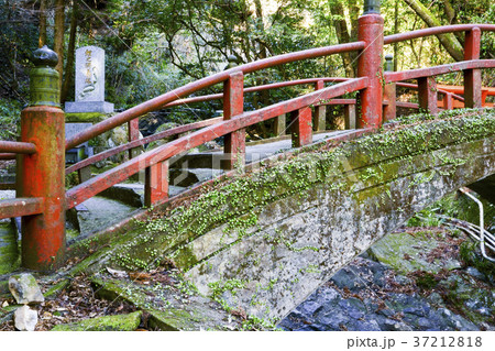清水観音宝寺院 清水観音 37212818