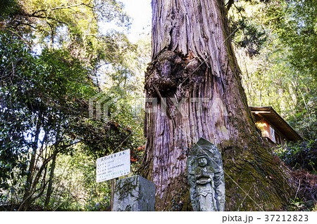 清水観音宝寺院 清水観音 37212823