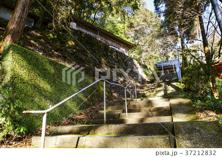 清水観音宝寺院 清水観音 37212832