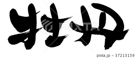 筆文字　牡丹　ぼたん　イラスト 37213159