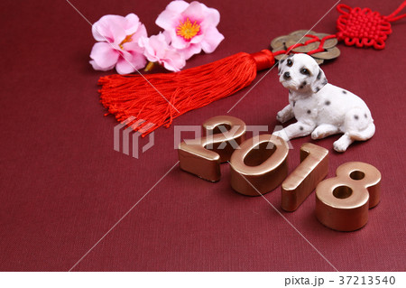 Dog with chinese new year decoration for year 2018 Dog with chinese new year decoration for year 2018 37213540