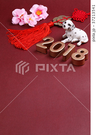 Dog with chinese new year decoration for year 2018 37213541
