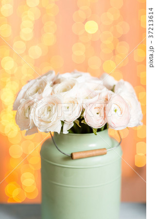 Pink persian buttercup flowers. Curly peony 37213614