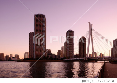 中央大橋 東京風景 佃島 東京都中央区 中央大橋 東京風景 佃島 東京都中央区 37213718
