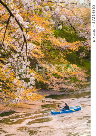 Japanese spring at Chidorigafuchi 37214865