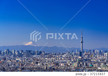 スカイツリーと富士山を望む東京都市風景 スカイツリーと富士山を望む東京都市風景 37215837