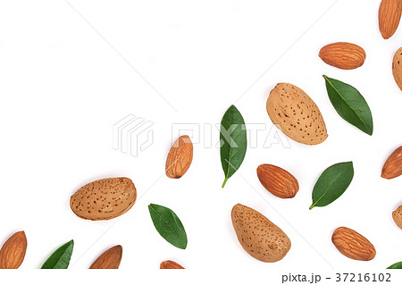 almonds with leaves isolated on white background almonds with leaves isolated on white background 37216102