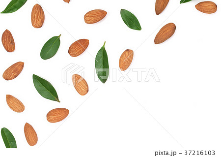 almonds with leaves isolated on white background 37216103