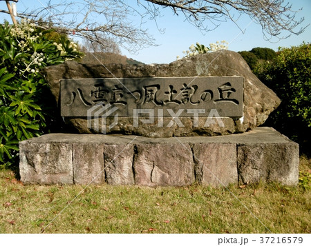 八雲立つ風土記の丘 八雲立つ風土記の丘 37216579