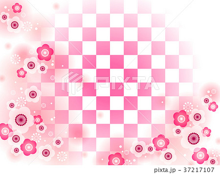 梅06_2 37217107