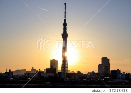 都市風景 夕日と東京スカイツリーの写真素材