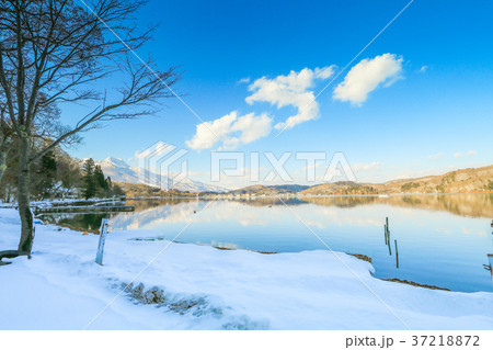Beautiful fresh snow in winter  37218872