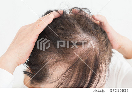 シニア ヘアケア シニア ヘアケア 37219635