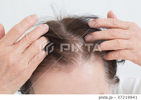 シニア ヘアケア シニア ヘアケア 37219941